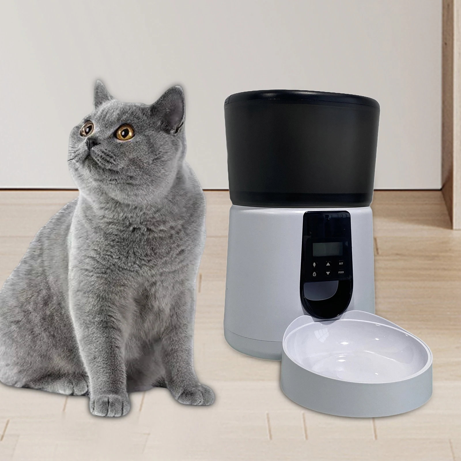 Automatic Dog Feeder Anti Stuck Design Pet Feeder for Cat Dog for Japan Plug