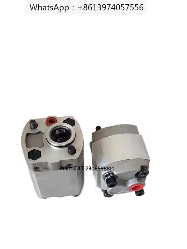 Gear Pump Micro Gear Pump CBK-F2.1/F1.6/F3.2/F4.8/F6.8/F7/CBK-F8.0