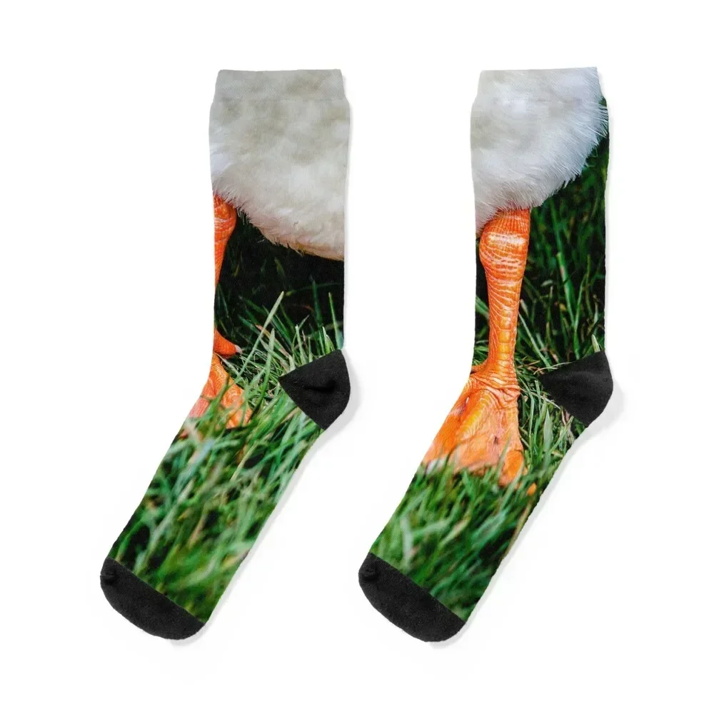 Orange Aylesbury Duck Legs Socks hiking summer Men's Socks Woman Men's