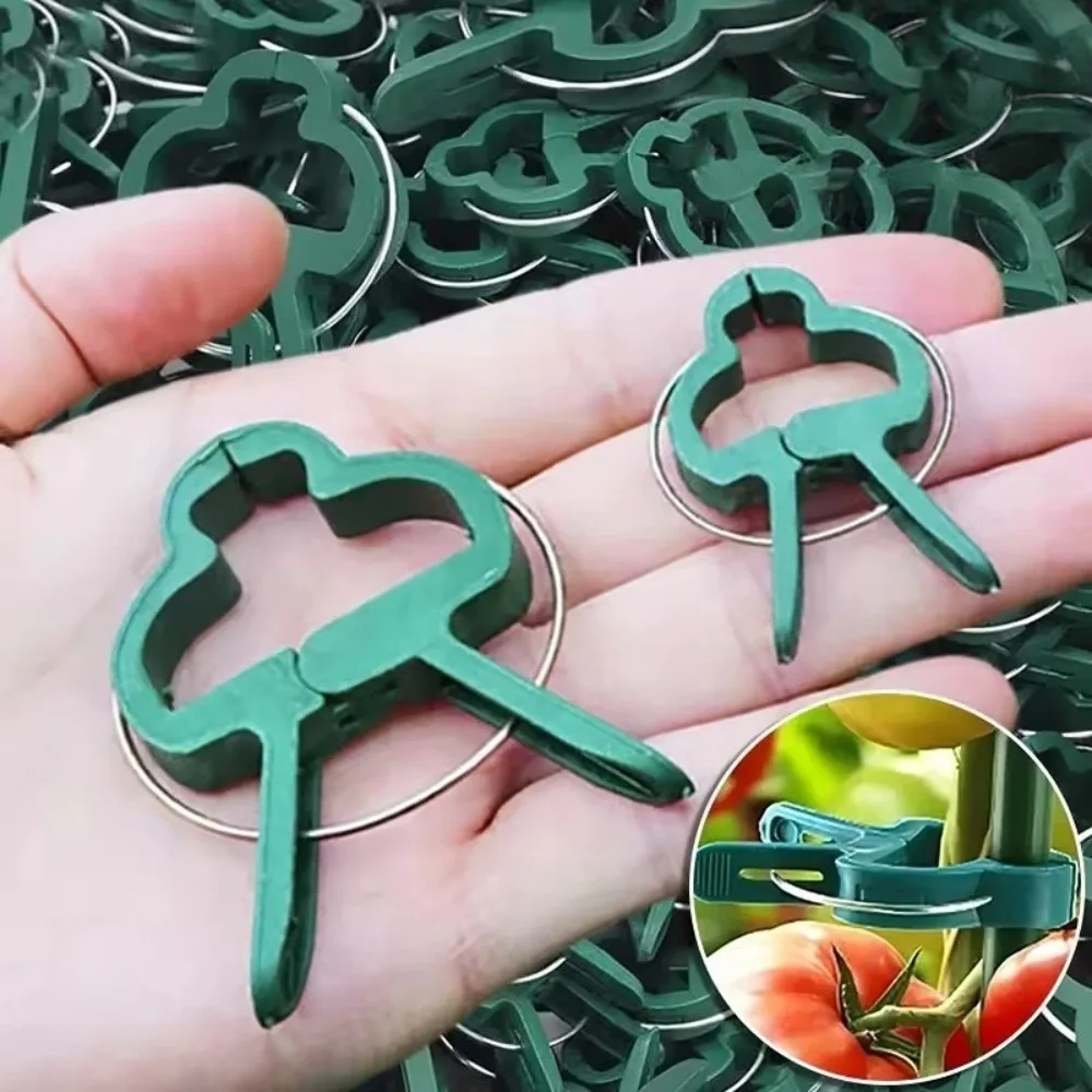

10pcs Plant Fixing Clip Reusable Plastic Clip for Green Landscaping Climbing Plants Tomato Stands Grape Vines Plant Support Tool
