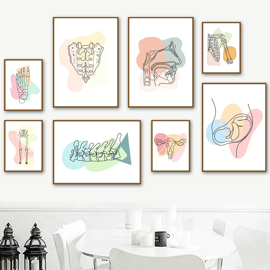 

Skull Teeth Foot Bones Uterus Lung Anatomy Medicine Posters And Prints Wall Art Canvas Painting Wall Pictures Doctor Room Decor