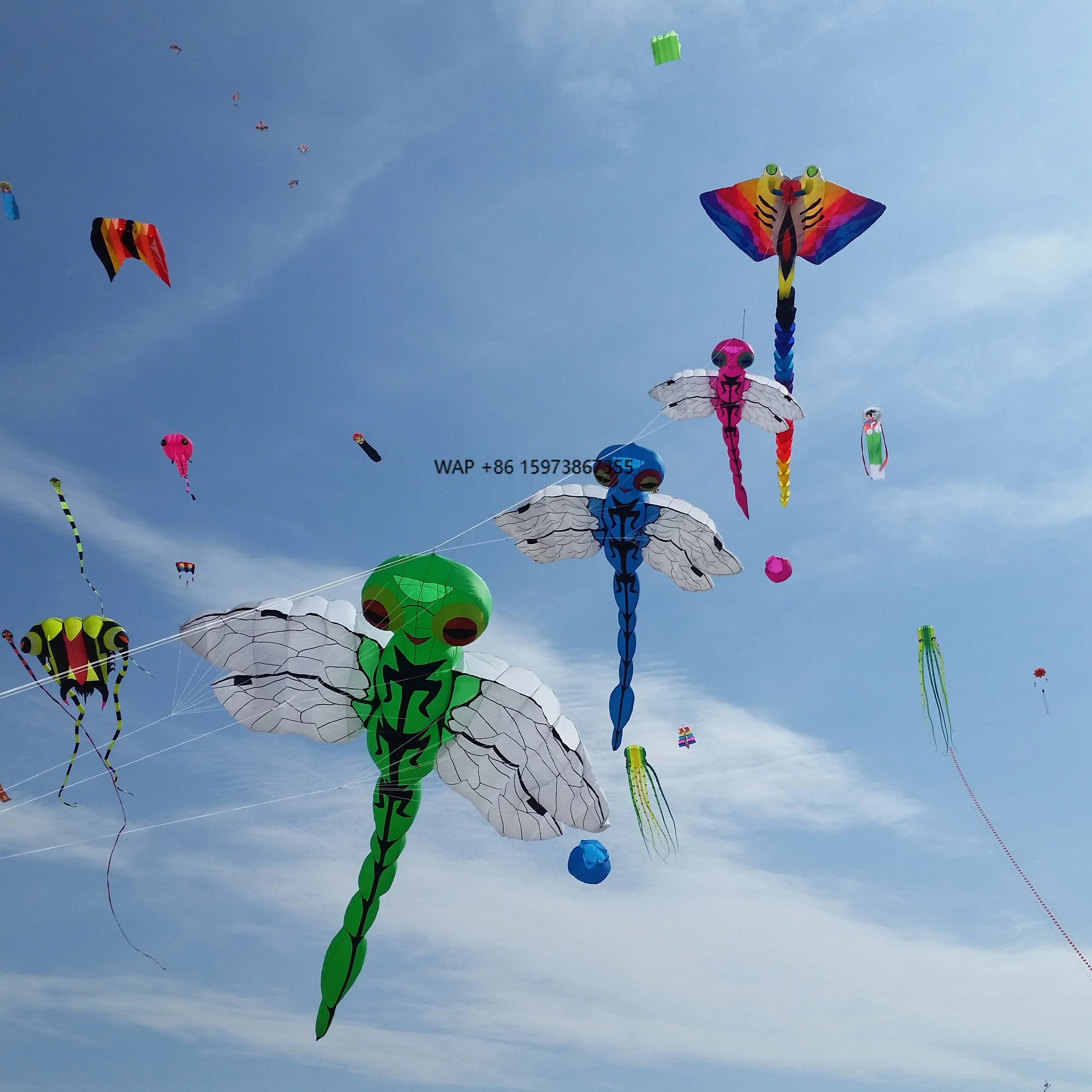 

Large Fashion Show Kite Dragonfly Weifang Triumph Kite Factory
