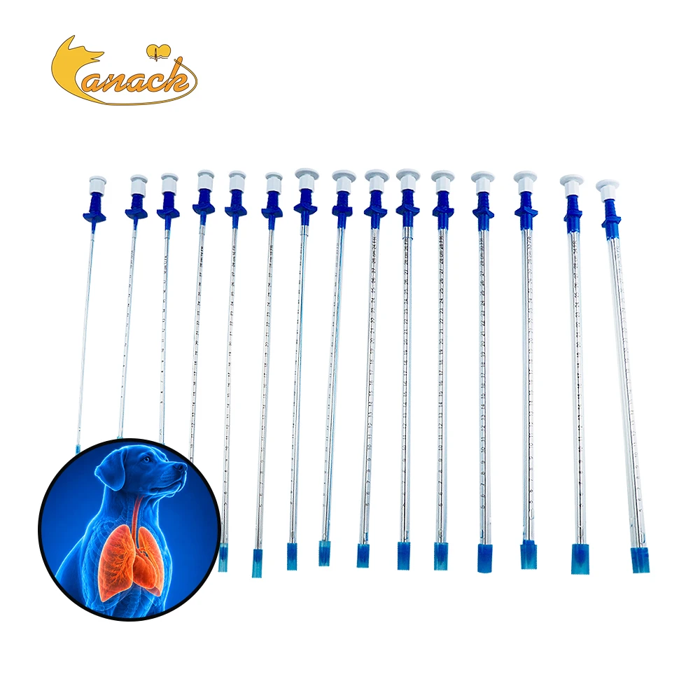 Canack Veterinary Thoracic Drainage Tube Cat Chest Catheter For Pet Surgery Airway Management Sterile Medical PVC Supply