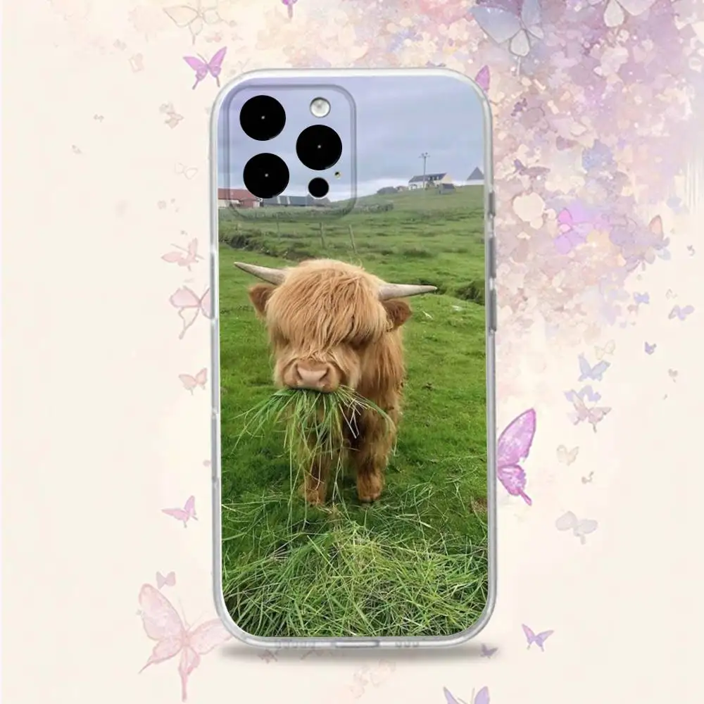 C-Cow FurryS H-HighlandS Handyhülle für iPhone 11,12,15,16,17,13,14,Pro,Max,Plus,E,Mini,Air,SE4 Weiche TPU-Rückseite mit transparenter Rückseite
