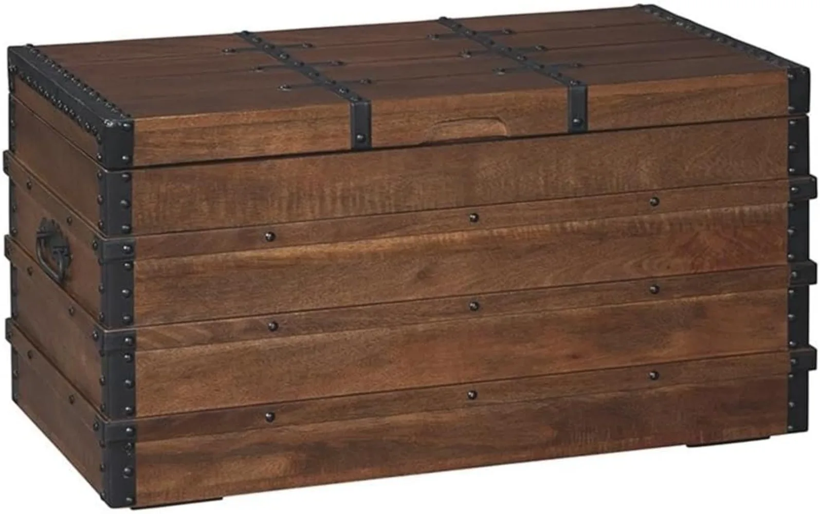 Storage Trunk Coffee Table in Brown