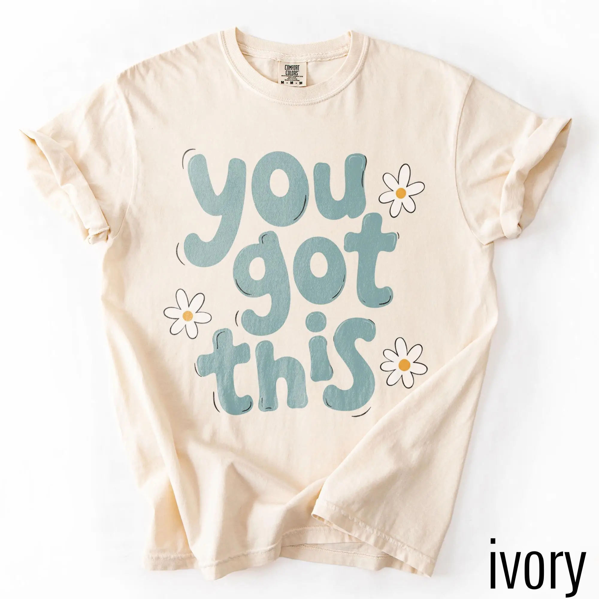 Inspirational Graphic Tee, You Got This Positive Teacher Shirt, Motivational Classroom School Staff Top, Gift Tee