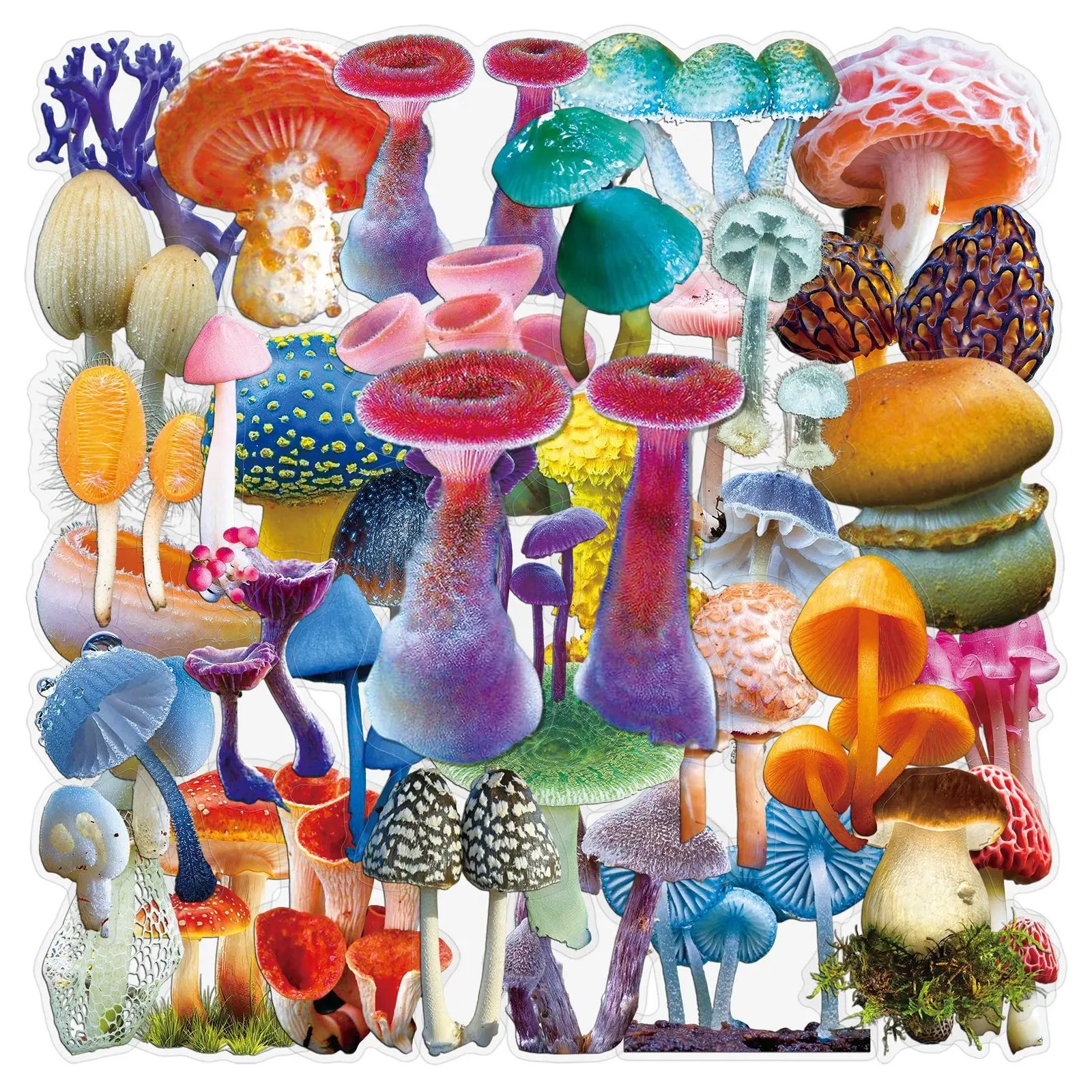 50 Stück Transparente Pilz-Graffiti-Aufkleber Realistische Kreative Pflanzen-Cartoon-Sticker DIY Gepäck Handy Tasse Scrapbook Kinderspielzeug