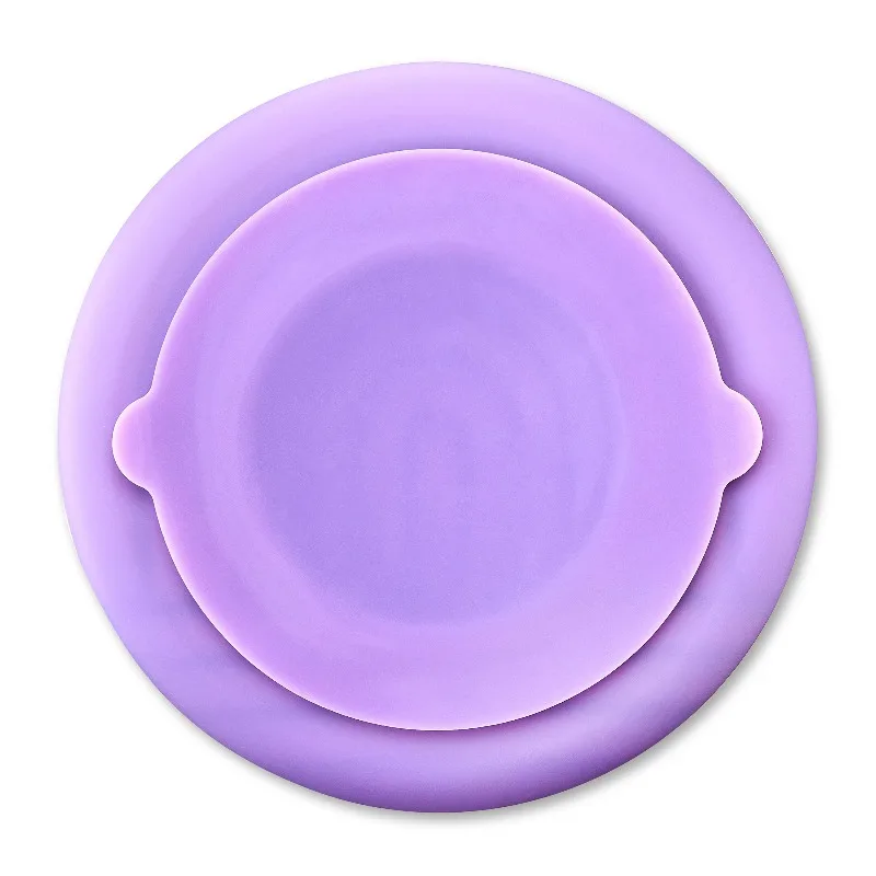Silicone Slow Feeder Bowl for Pets Rainbow Design