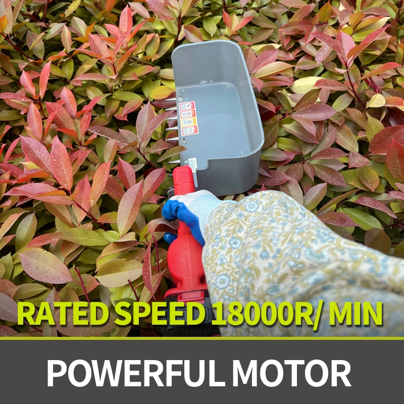 آلة قطف وحصاد الشاي الكهربائية لشخص واحد تعمل بالبطارية #5