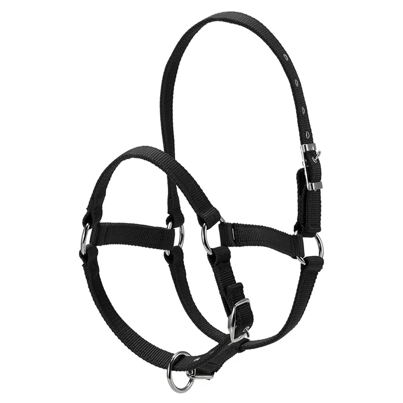 Durable Horse Head Collar Halter Thickened Horse Riding Bridle Horse Riding Equipment Halter Horse Accessories