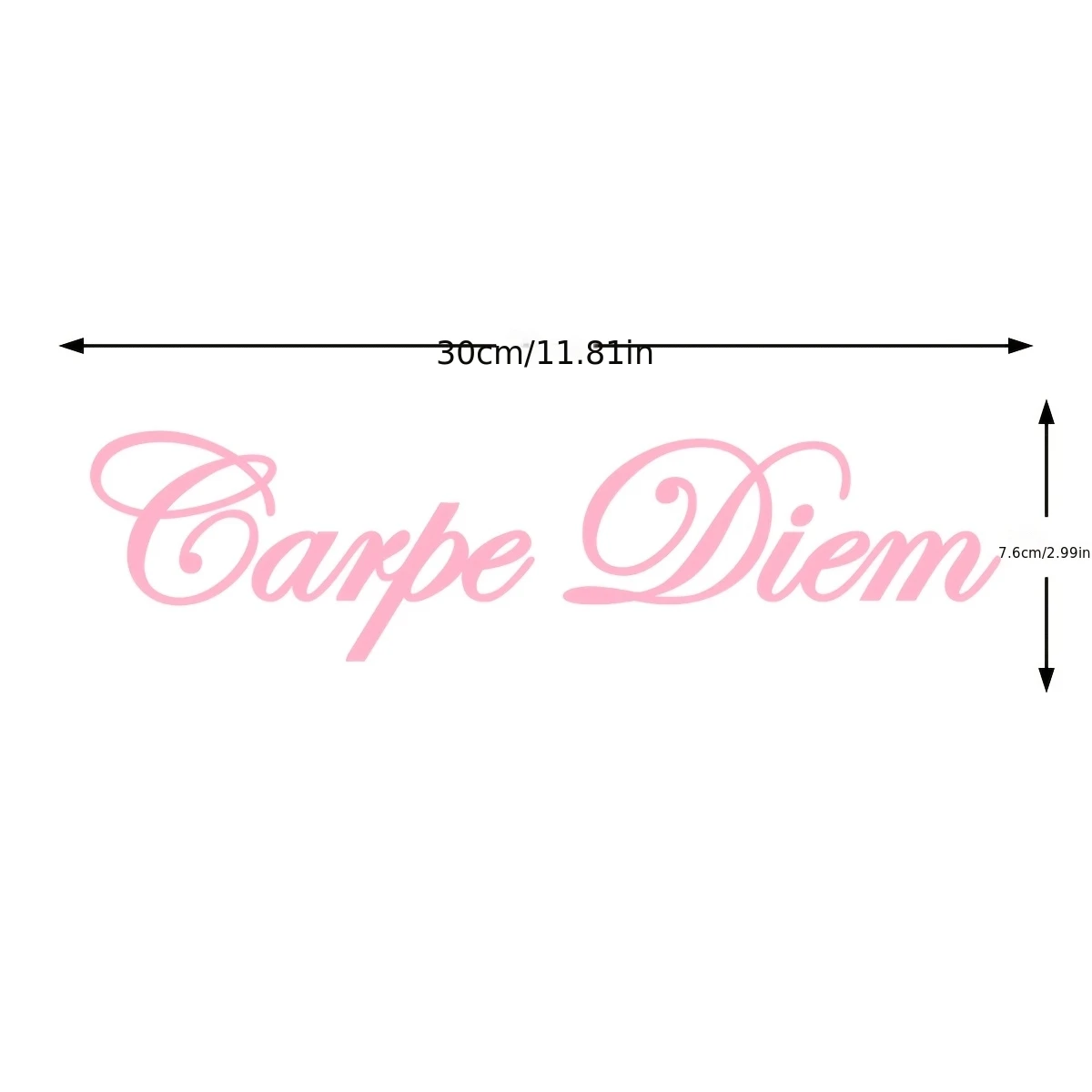 1Pc Carpe Diem Motorcycle Car Vinyl Decal Sticker Waterproof for Tank Fairing Fender