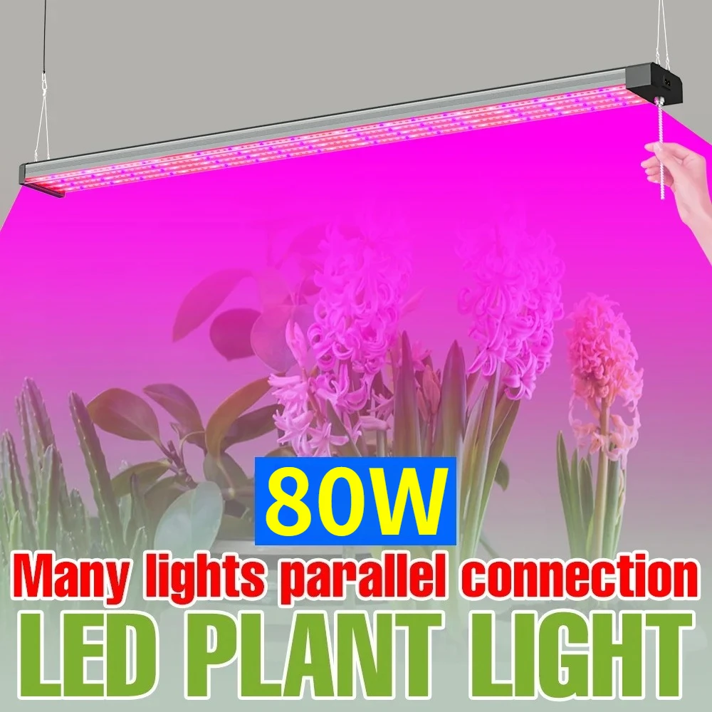 Lámpara de Cultivo LED de Espectro Completo de 80W, Luz para Plantas de Interior, con Interruptor UV/IR, para Invernadero e Hidroponía