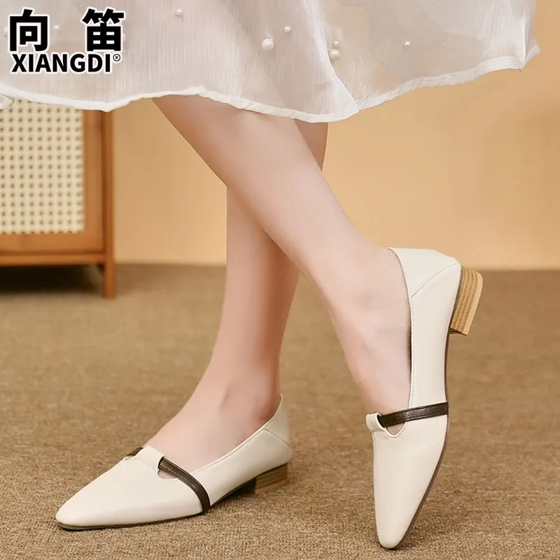 أحذية نسائية 2025 أحذية فردية جديدة بكعب منخفض، أحذية نسائية ذات فم ضحل بمقدمة مدببة، أحذية نسائية مسطحة #2