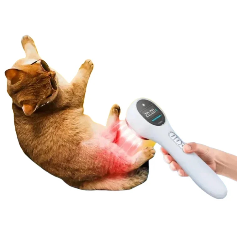 S Material 650nm Semiconductor Red Light and Far Therapy Instrument Handheld 6 Months Warranty