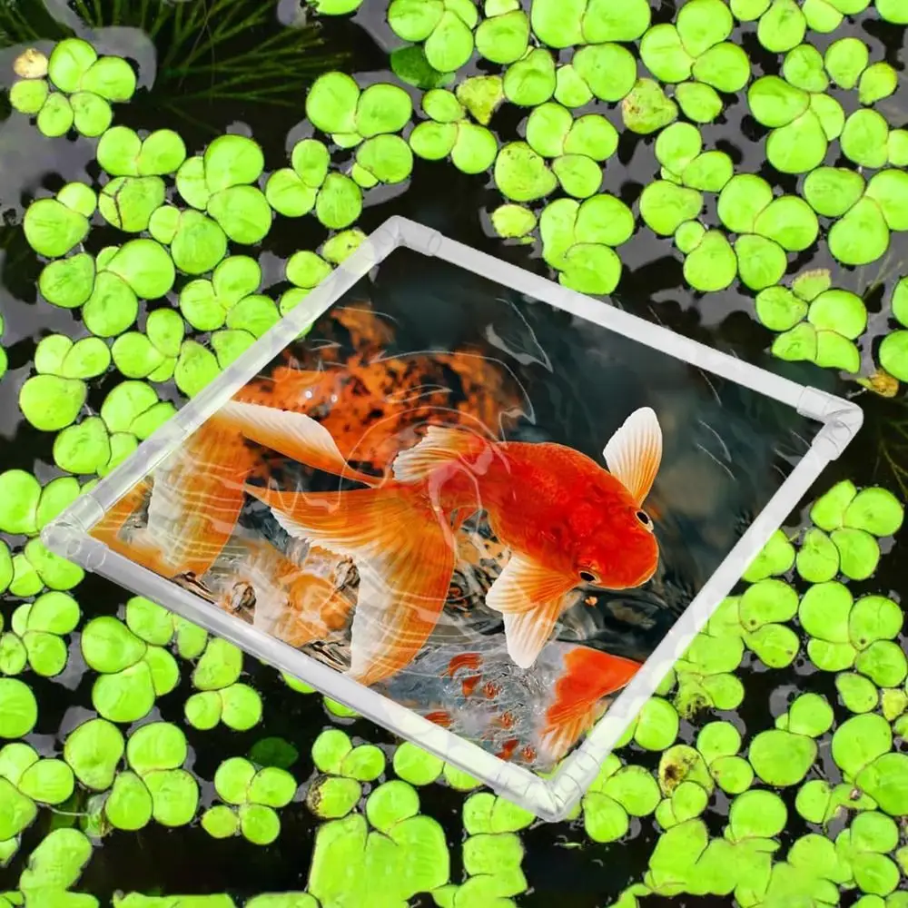 

Acrylic Aquarium Floating Plant Corral Square Reusable Patio Floating Plant Fence Clear Aquarium Food Ring Pond Accessories
