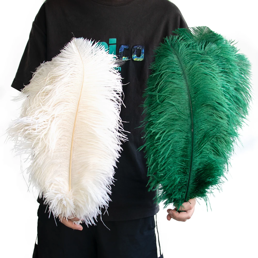 10Pcs/Lot Natural Ostrich Feathers 15-40cm Black White Ostrich Feather for DIY Crafts Wedding Party Table Vase Decora Accessory