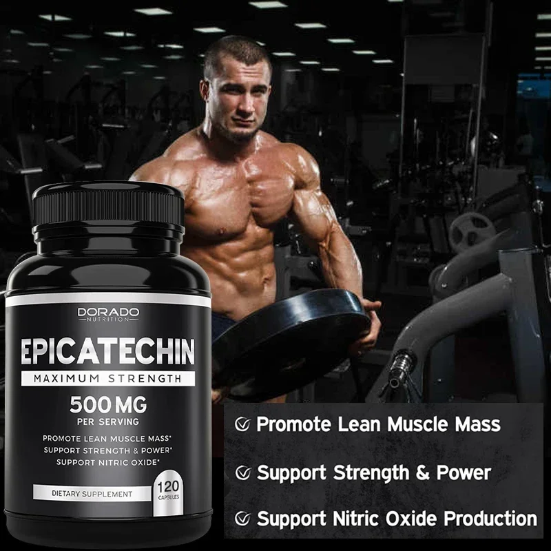 Epicatechin Capsules 500 Mg Per Serving - (120 Capsules) - Supports Lean Muscle, Nitric Oxide, Carnosine Inhibitors, Endurance