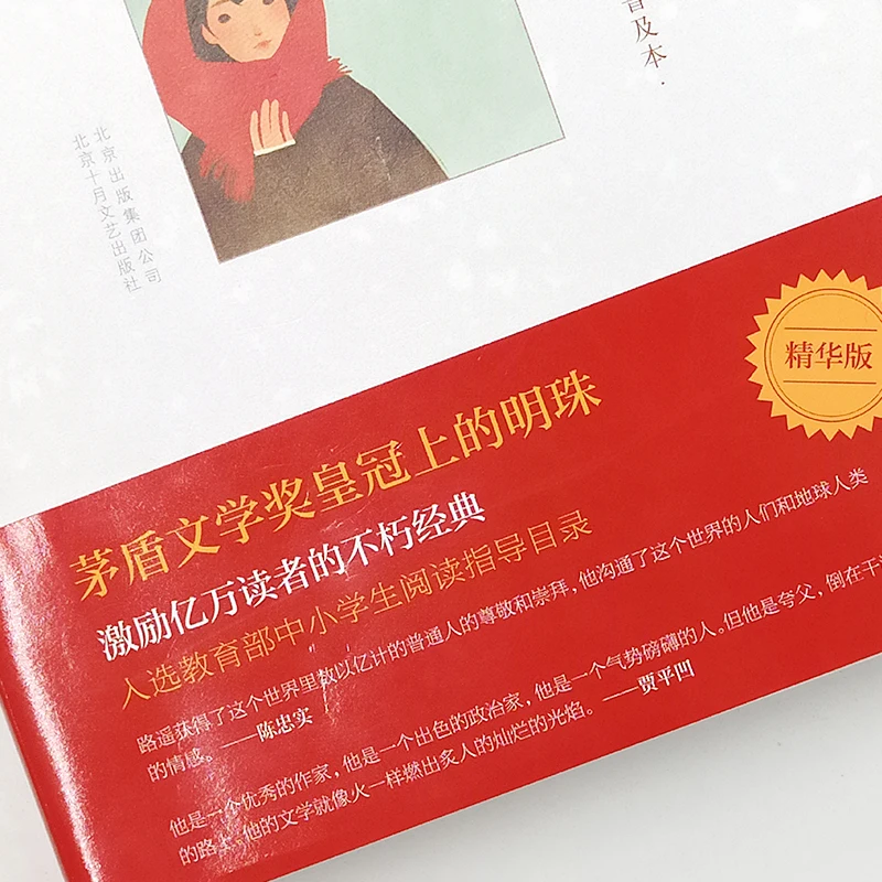 Ordinary World the common world (Chinese Edition) written by Lu Yao for adults fiction Book libros livros