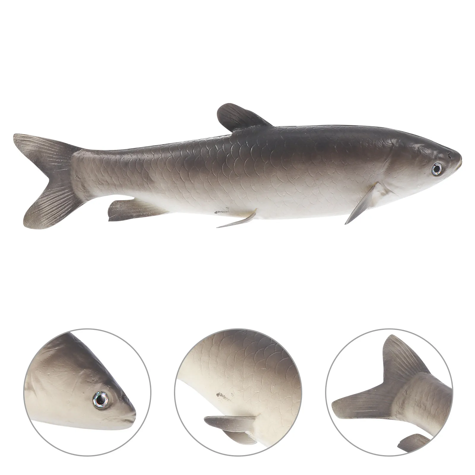 1Pcs High Detail Simulation Fish Decor Premium PVC Desktop Ornament Kids Imaginative Play Naturalistic Aquatic Theme Fish
