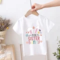 TK483268-KSTWH