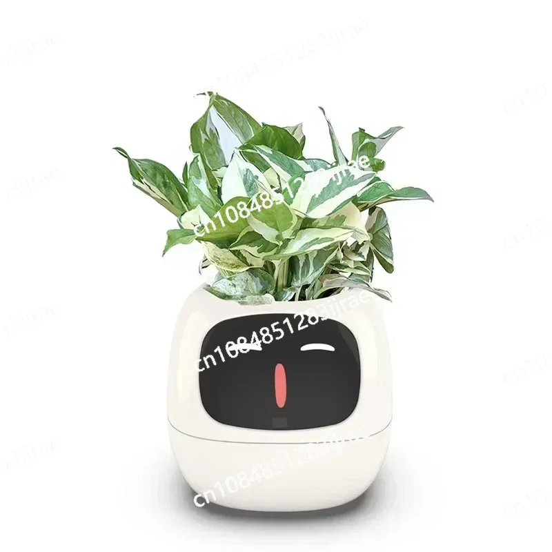 New Smart and Cute Pet Pet Pot Ivy Table Top Green Plants Let Your Plants Express Emotions