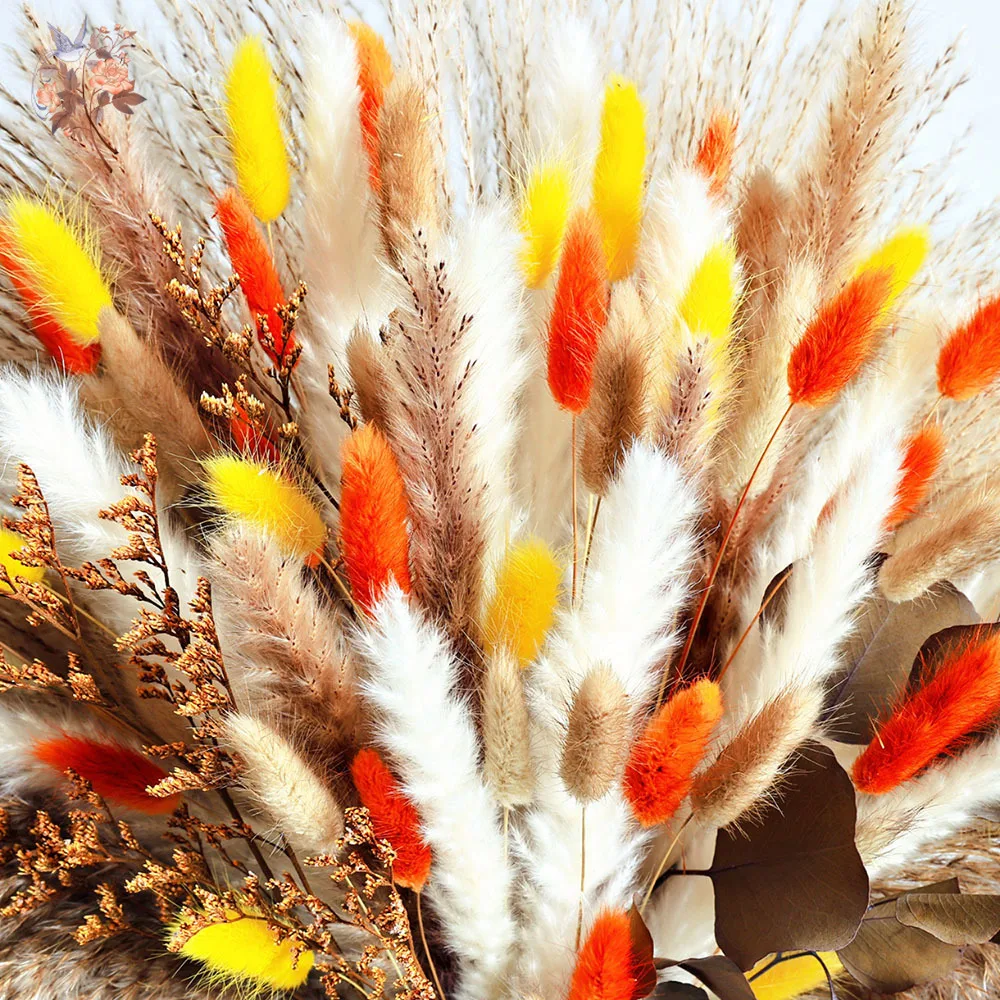 80 Pieces Natural Fluffy Pampas Grass Dried Flower Autumn Home Decor Preserved Apple Eucalyptus Leaves Fall Wedding Arrangements