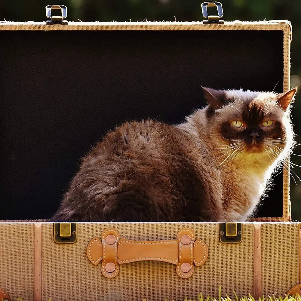 ABMS-100 Sets Of Copper Rivets And Burrs,Leather Belt Wallets, Leather Copper Rivets (9/16 Inches)