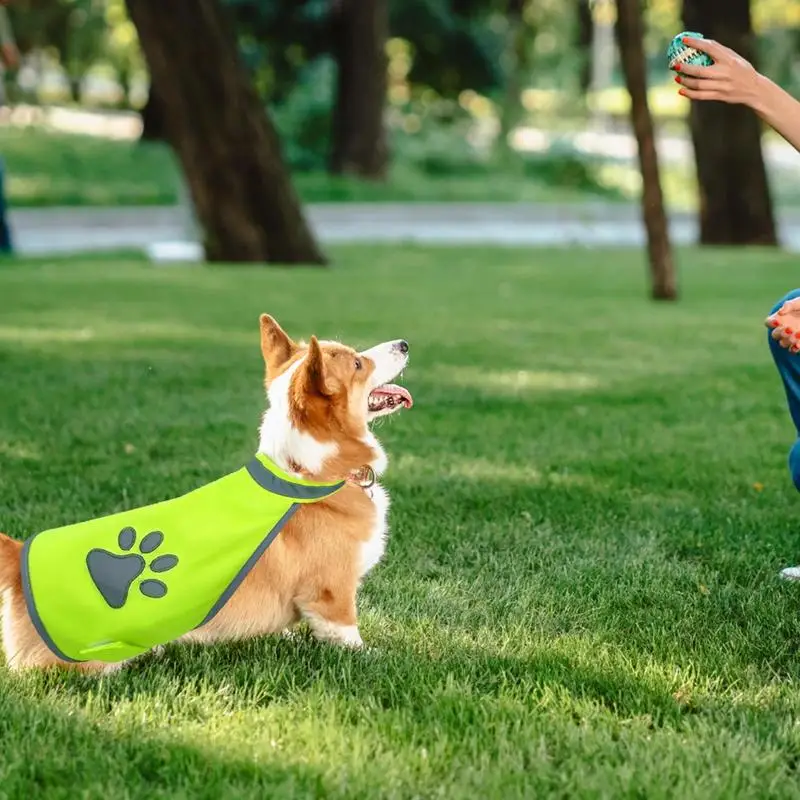 Hunde-Sicherheits-Reflektorweste, fluoreszierende Sicherheitsweste für den Außenbereich, für Hunde, hohe Sichtbarkeit, Nacht-Hundekleidung, schützt Ihre Welpenweste