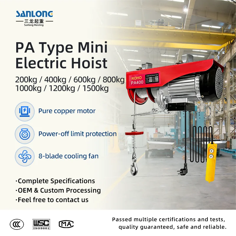 ROHO Versatile 600kg PA600 Electric Hoist 220V 12m Lifting Height 1 Year Warranty Small Overhead Crane Wire Rope Metal