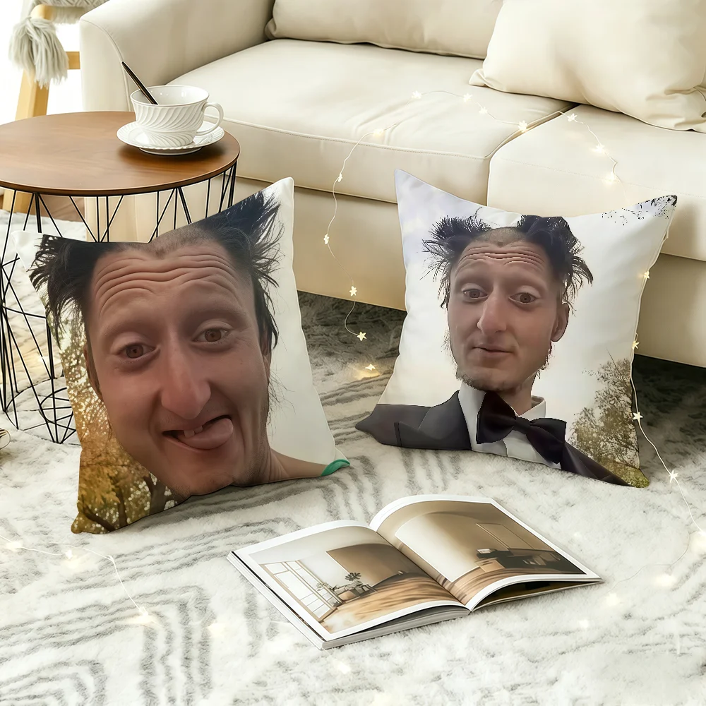 Funny D-Daniel L-Larson Meme cushion cover Anti-dustmite Sofa Cushion Decorative Office Cover Lounge Area Indoor & Outdoor Use