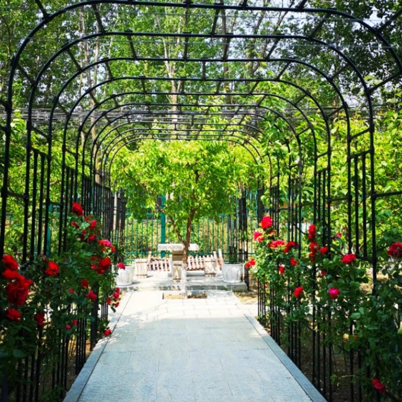 Garden Arch Trellis for Climbing Roses and Vines Half Arch Support Frame for Outdoor Plants Durable Metal Garden Plant Shelves