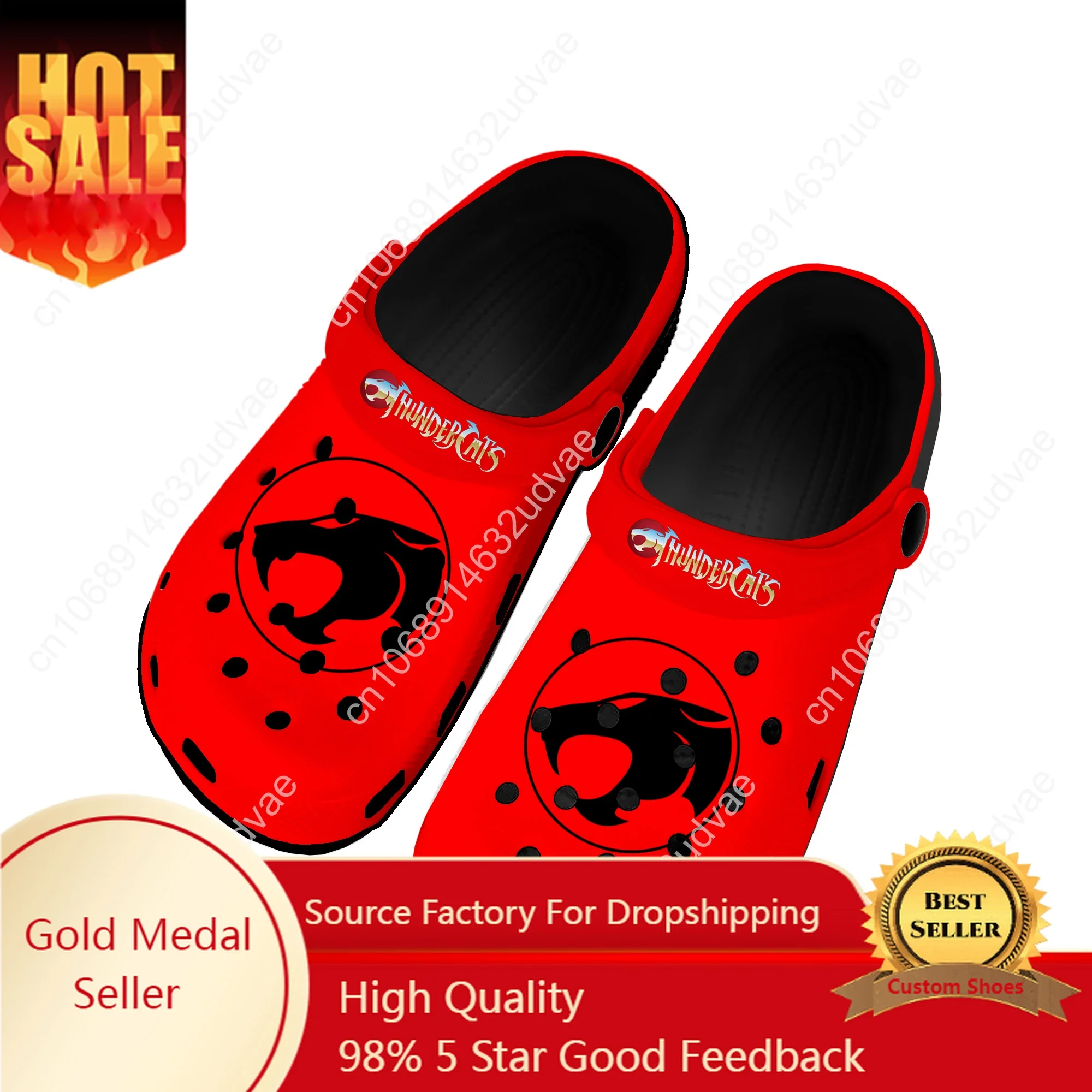 

Thundercats Red Cartoon Home Clogs Custom Water Shoes Mens Womens Teenager Shoe Garden Clog Breathable Beach Hole Slippers