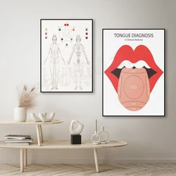 Tongue diagnosis diagram, scalp acupuncture, acupuncture meridian print. Traditional Chinese medicine, herbal medicine poster