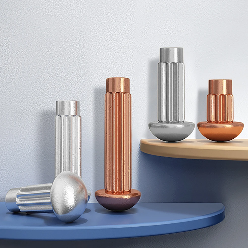 

M1.6-M5 GB827 Aluminum Purple Copper Stainless Steel Button Round Head Knurled Shank Solid Rivet for Label Name Plate Brand