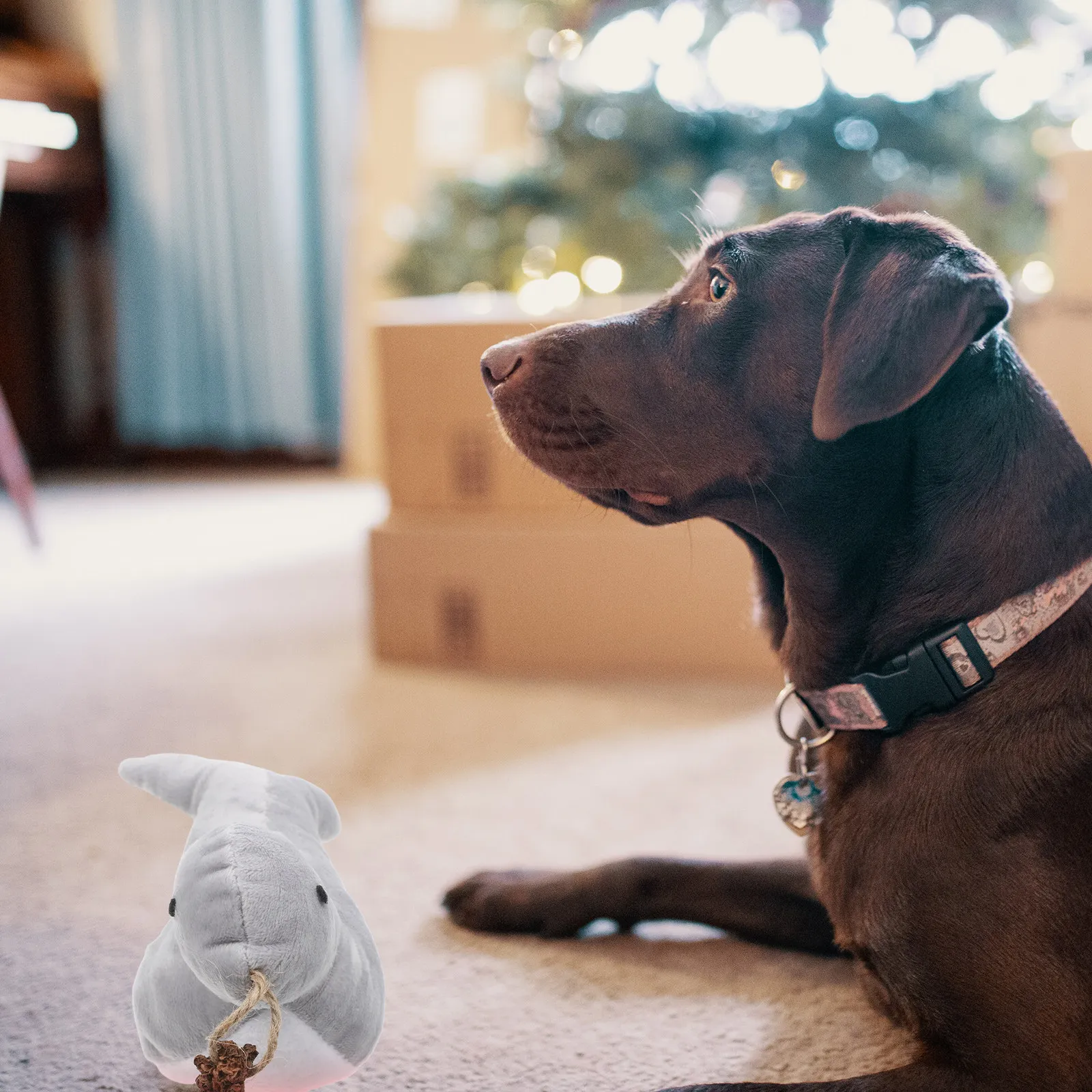 

Интерактивная подушка-игрушка для кошек в форме тюленя с кошачьей мятой для домашних кошек, милый аксессуар для котят, незаменимая подушка-игрушка с кошачьей мятой, интерактивные игрушки для кошек