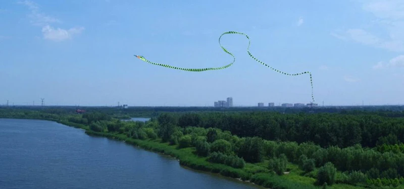 Envío Gratis, pipa de serpiente grande, pipa de nailon para deportes de playa, pipa para niños weifang cobra, fábrica de pipa, juegos al aire libre, juego de pipa suave