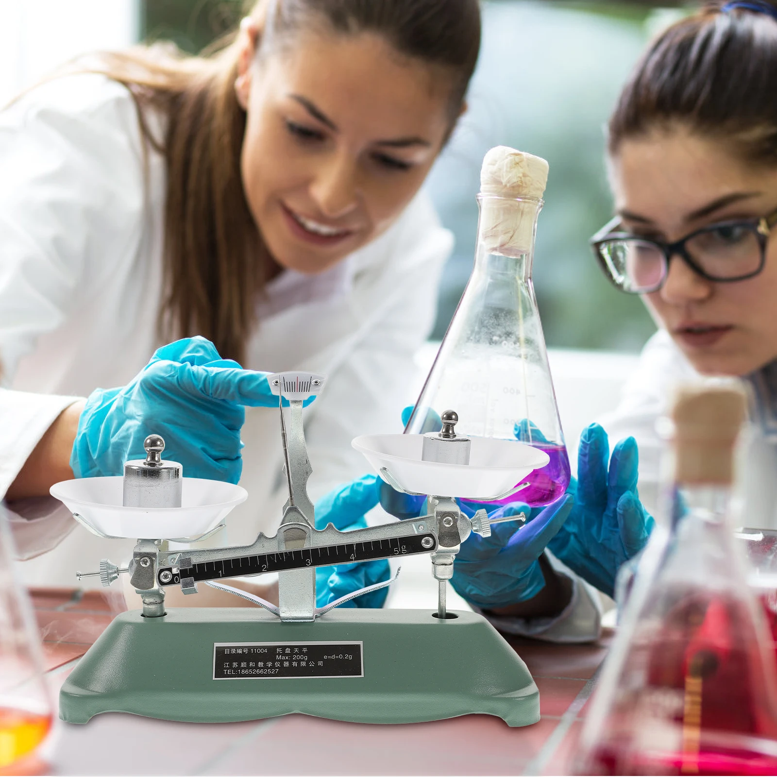 Laboratory Balance Scale Professional Rack Scientific Teaching Tools Kids Portable Weights ABS Aluminum Rubber High