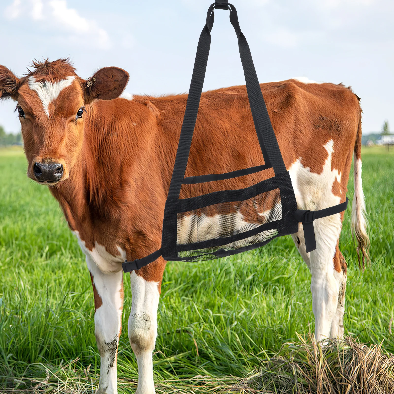 

Adjustable Goat For Hoof Trimming Calf Livestock Weighing Scale Hanging Strap Durable Rope Sturdy Sling Black Small Animal Dog