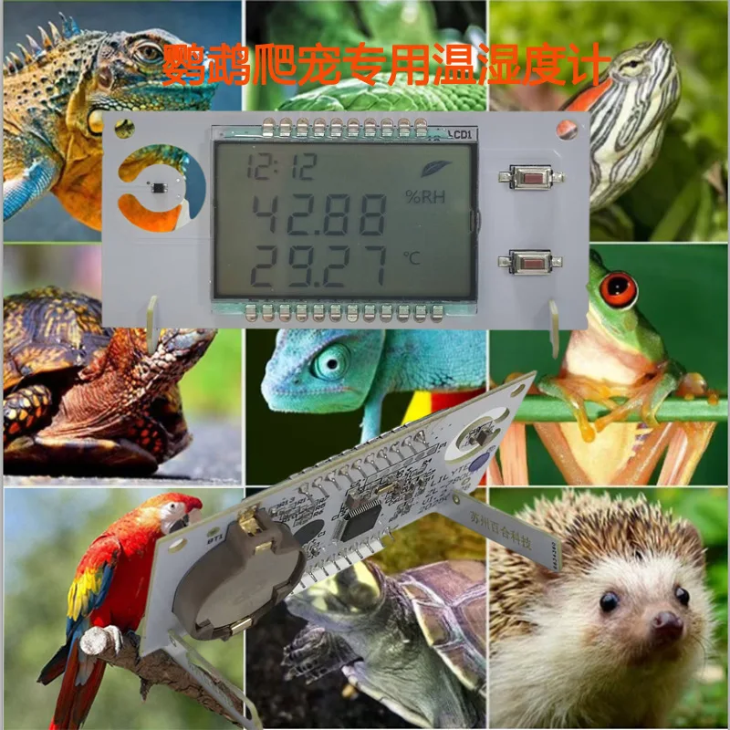Incubation brood thermometer high precision temperature and humidity automatic calibration parrot pet incubator