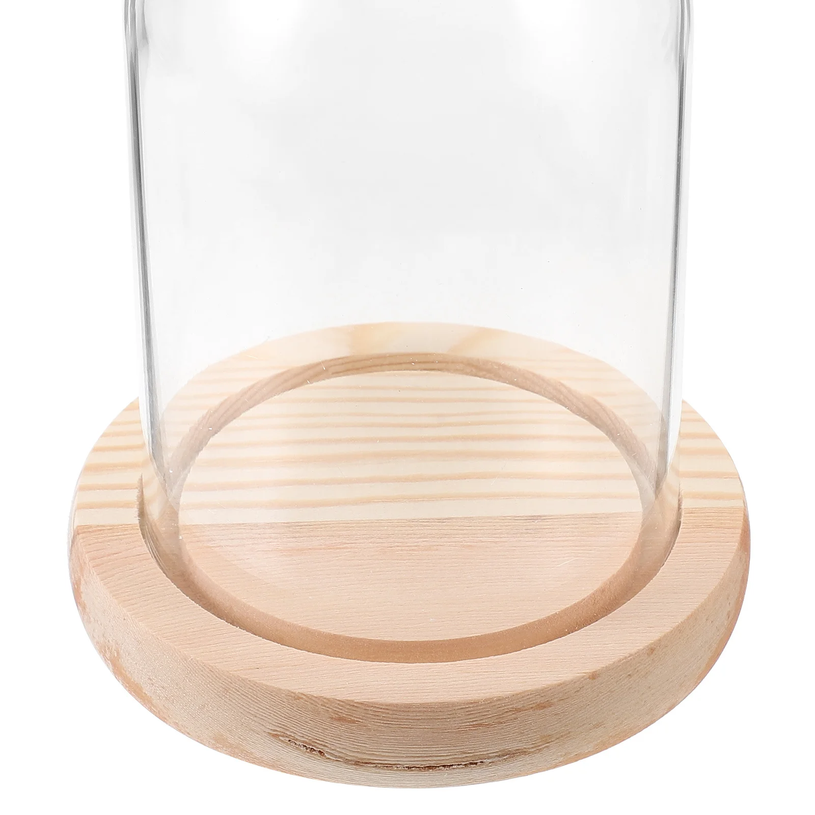 قبة زجاجية شفافة لعلبة عرض الزهور المحفوظة لديكور عيد الحب وغطاء المناظر الطبيعية الزجاجية #6