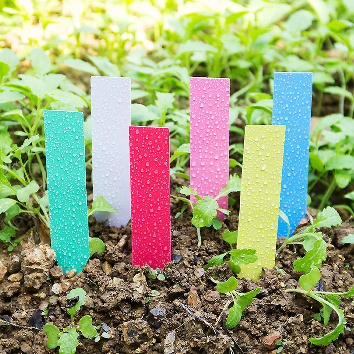 

500 Pcs Reusable PVC Plant Labels Garden Flower Tags Marker for Nursery Tracking Easy to Clean Durable than Wooden Metal