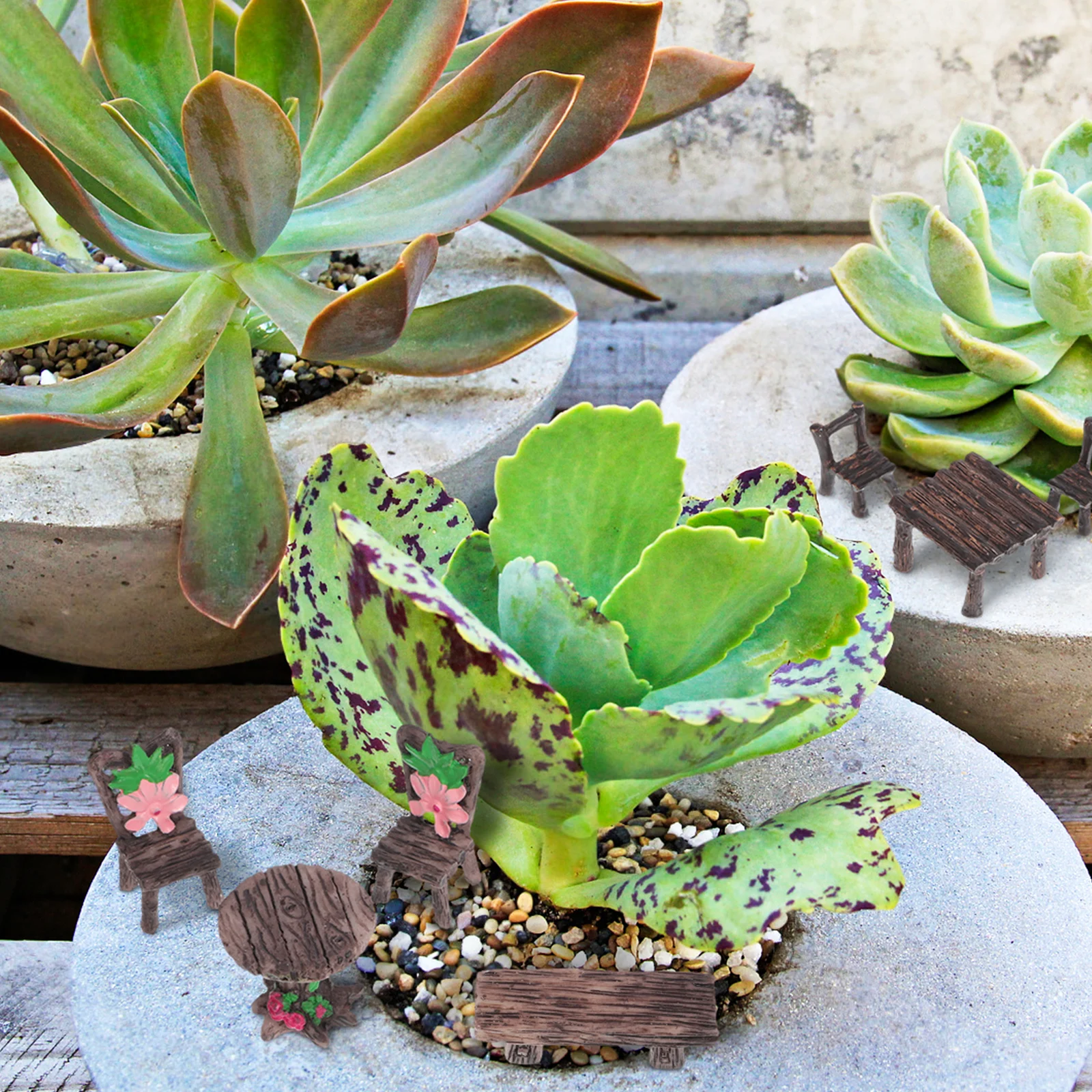 

10 pcs Mini Garden For Desk Moss Succulent Micro Landscape Resin Table Chairs Set Tiny Landscape Decoration Home Decor Miniature