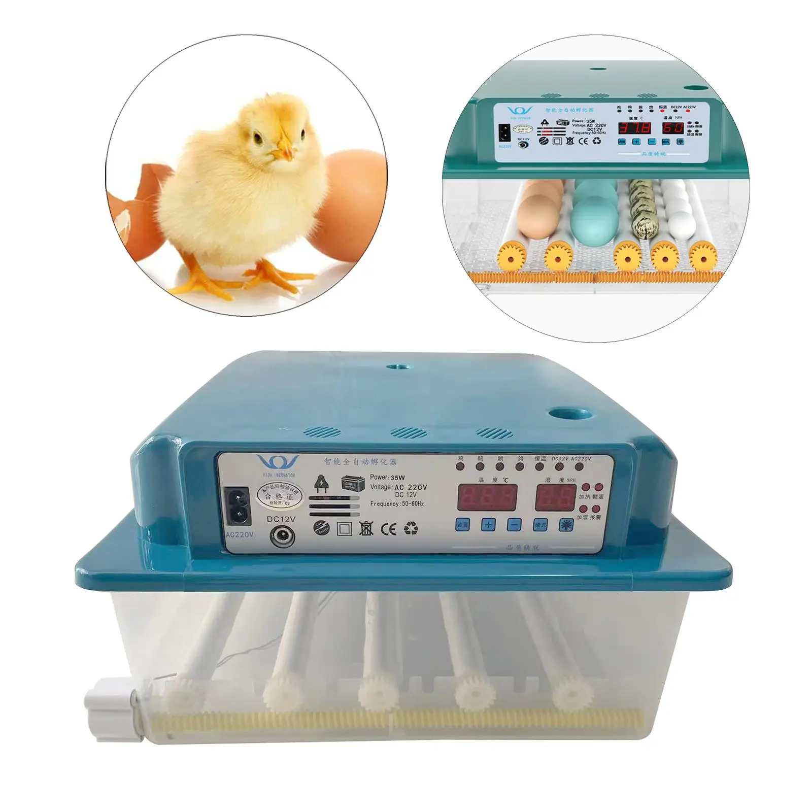 Clear Egg Incubator 24 Eggs Incubator with Temperature Control LED Candler Poultry Hatcher Automatic for Quail Goose EU Plug