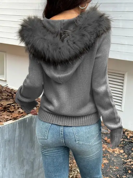 2025 Autumn & Winter Casual Plush Long Sleeve Sweatshirt Jacket for Women's Clothing Daily New Fashion Women Slim Coat