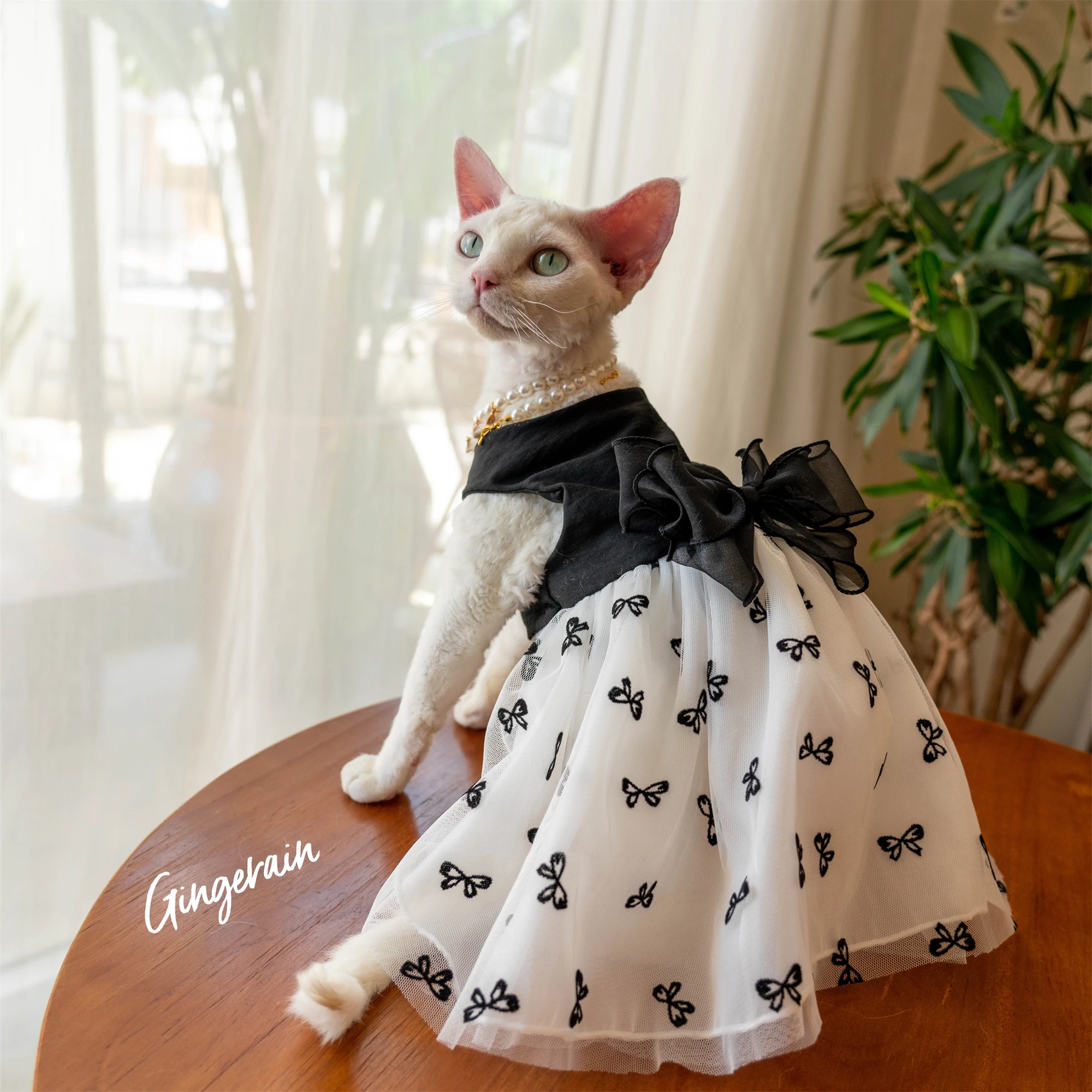 

Sphynx Cat Clothes Lace Bowknot Wedding Party Dress for Pet Hairless Cat Sweet Suspenders Devon Vest for Spring Summer Outwear