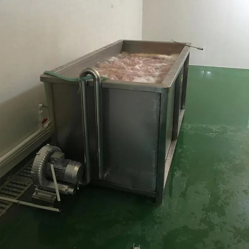 Multifunctional bubble thawing pool Pig lung thawing pool Automatic frozen meat thawing machine Vegetable bubble cleaning pool