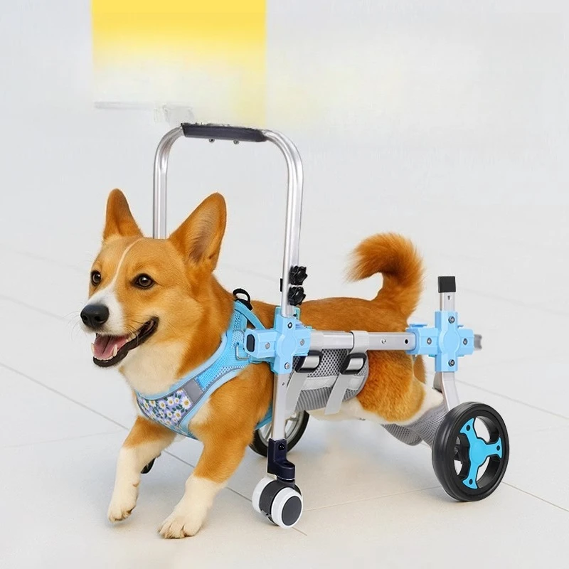 

Pet Retractable Hindlimb Wheelchair Dog Disability Assisted Walking Device Trauma Aged Standing Bracket Aged Dog Walker