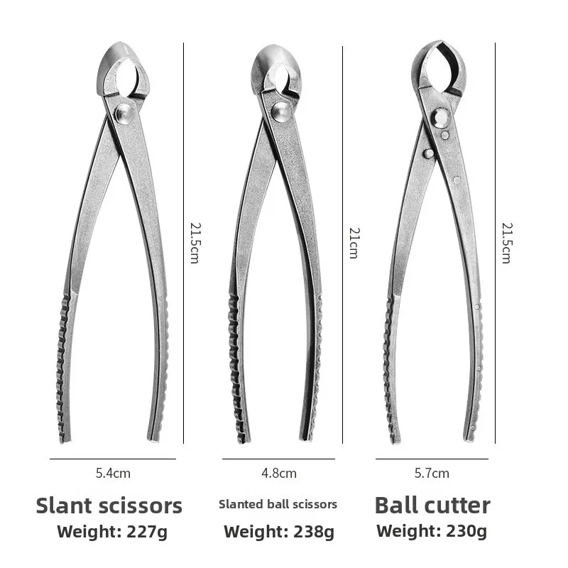 Thumbnail 4 - #66 Ranked Pruning Shears Picks in 2026
