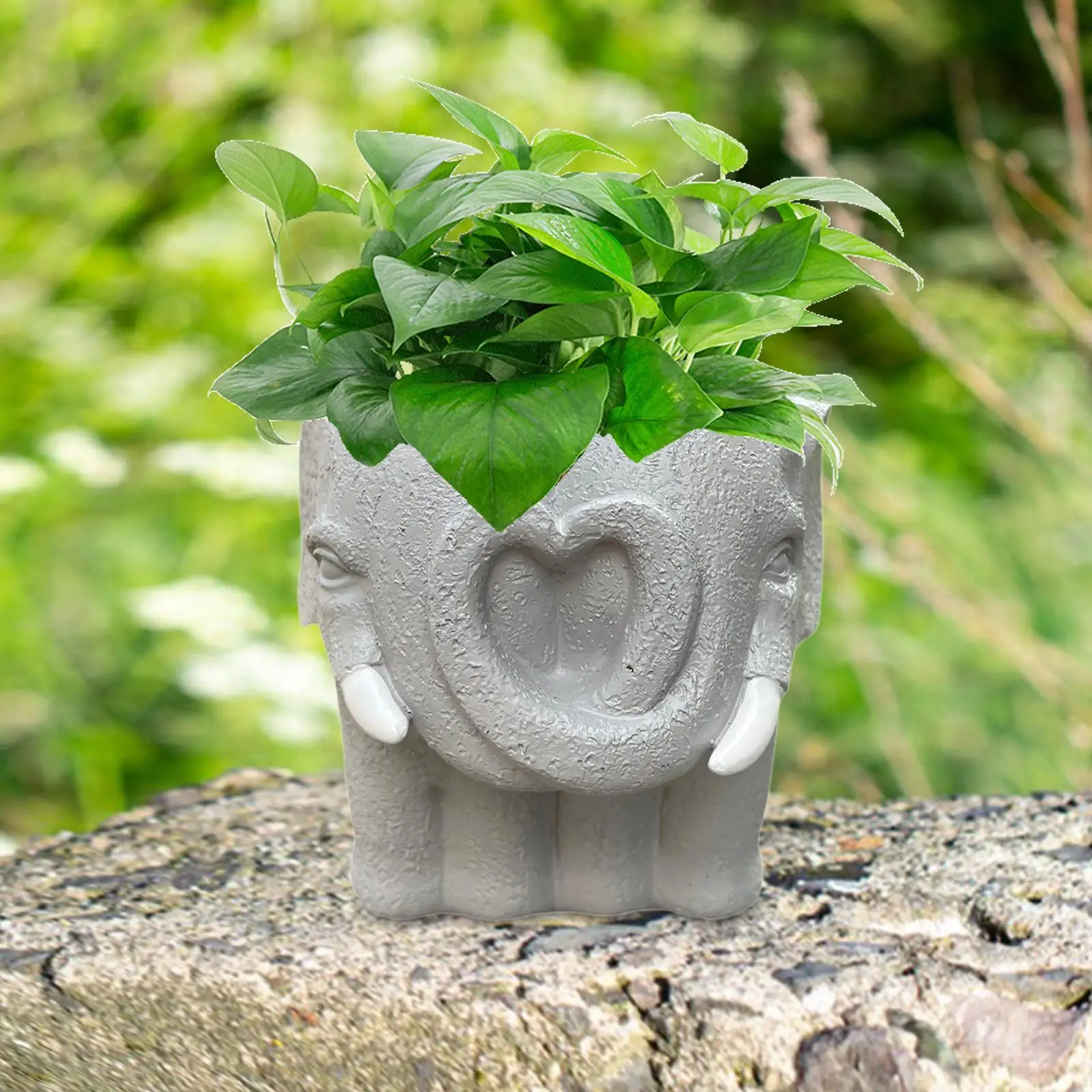 

Cute Mini Plant Container Decorative Cute 11x12cm Planter Plant Pot Flower Pot for Hotel Garden Balcony Living Room Tabletop