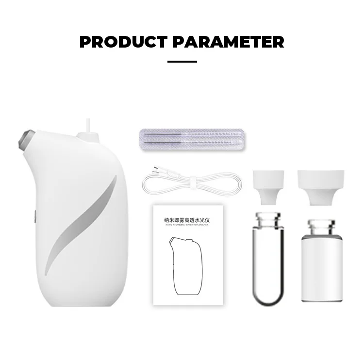 Custom Nano Oxygen Mist Sprayer Handheld Facial Hydration Oxygen Injection Beauty Device Low MOQ